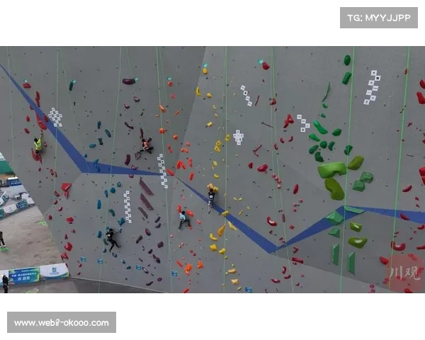 全国青年攀岩锦标赛高碑店开幕 U19组速度赛道首次启用奥运标准岩壁 全国青年攀岩锦标赛高碑店开幕 U19组速度赛道首次启用奥运标准岩壁